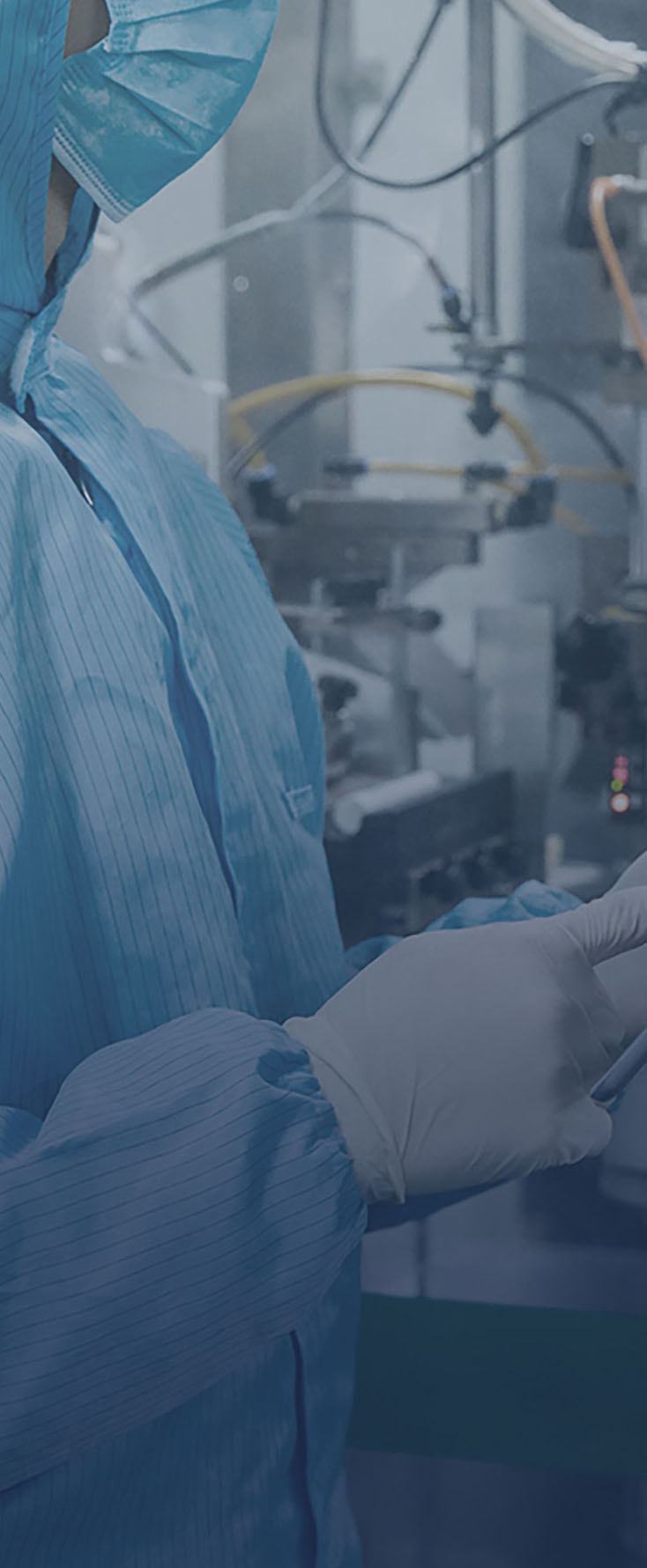 ȸ��majsoul����